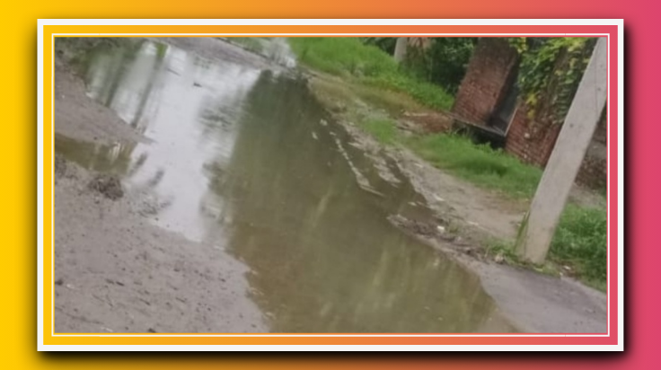 कीचड़ में तब्दील हो गई है पुरानी सड़क, विद्यार्थियों सहित हजारों ग्रामीण प्रभावित